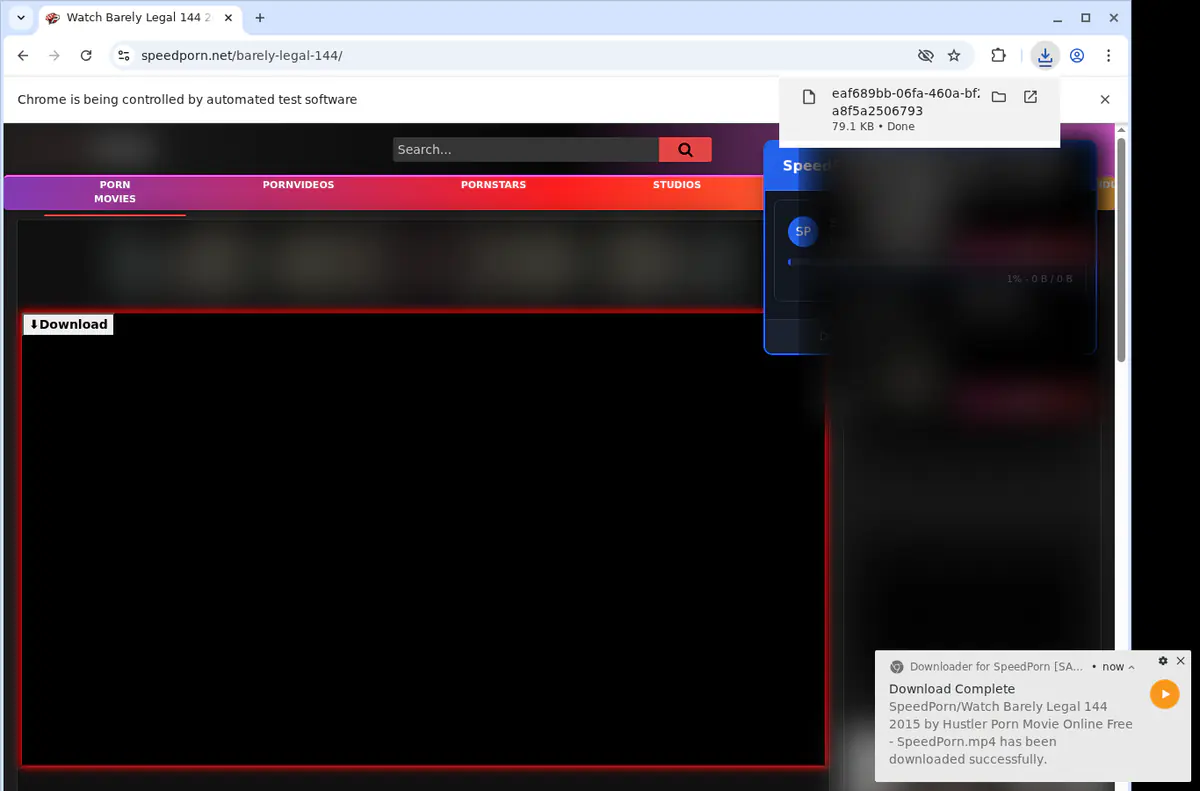 Speedporn Video Downloader browser extension screenshot 2