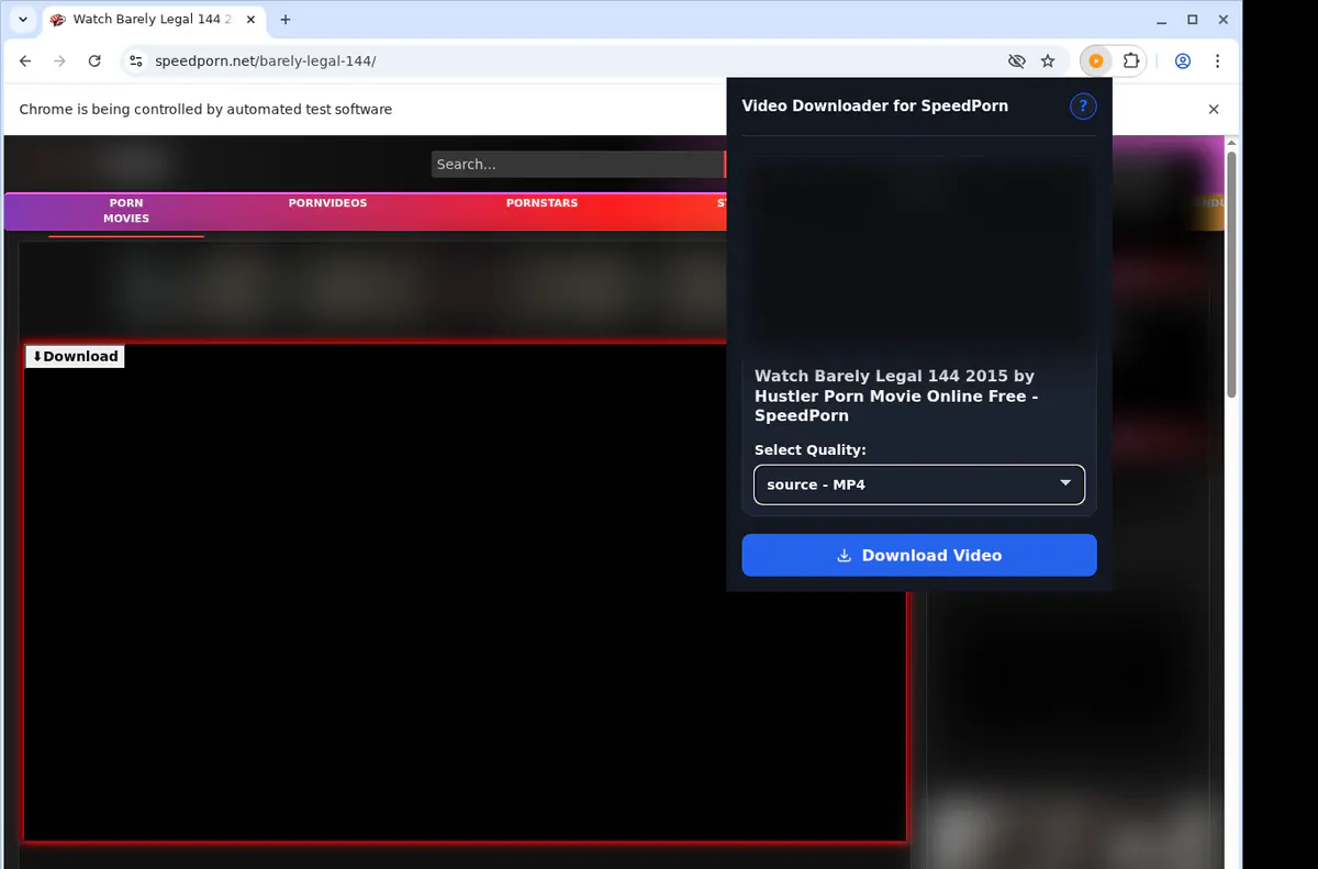 Speedporn Video Downloader browser extension screenshot 3